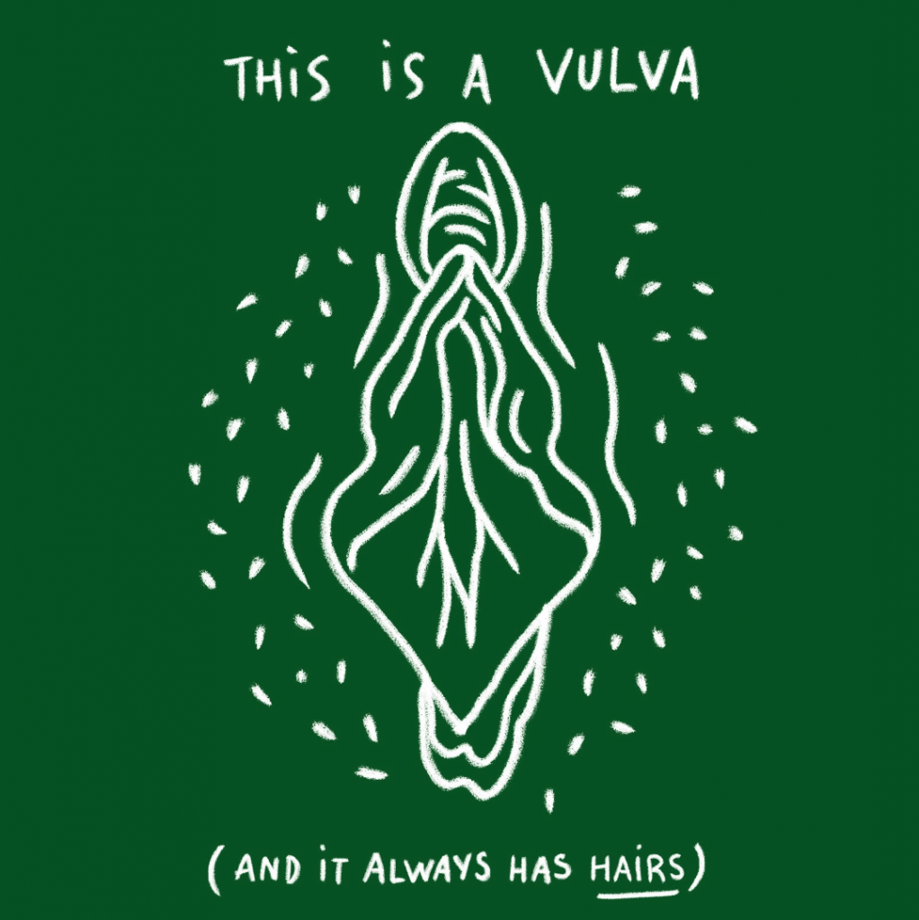 This is a vulva